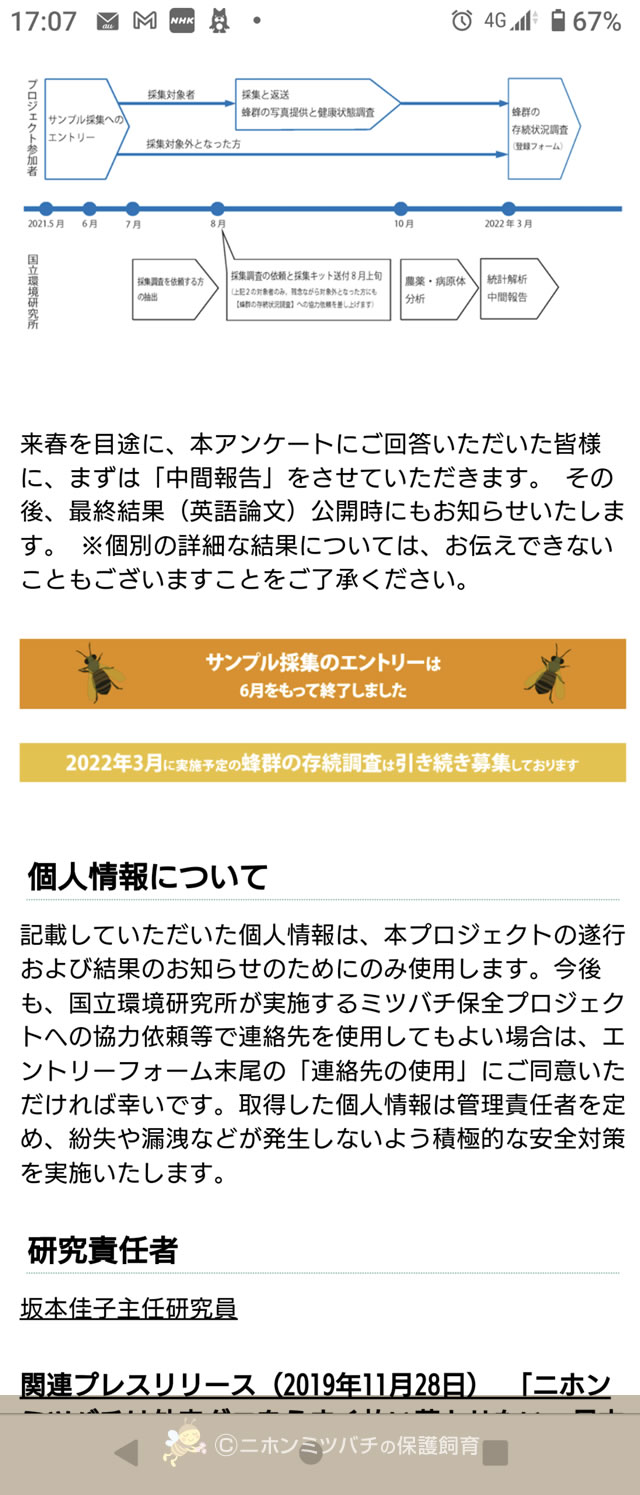 2021.09.25 ニホンミツバチ 035番