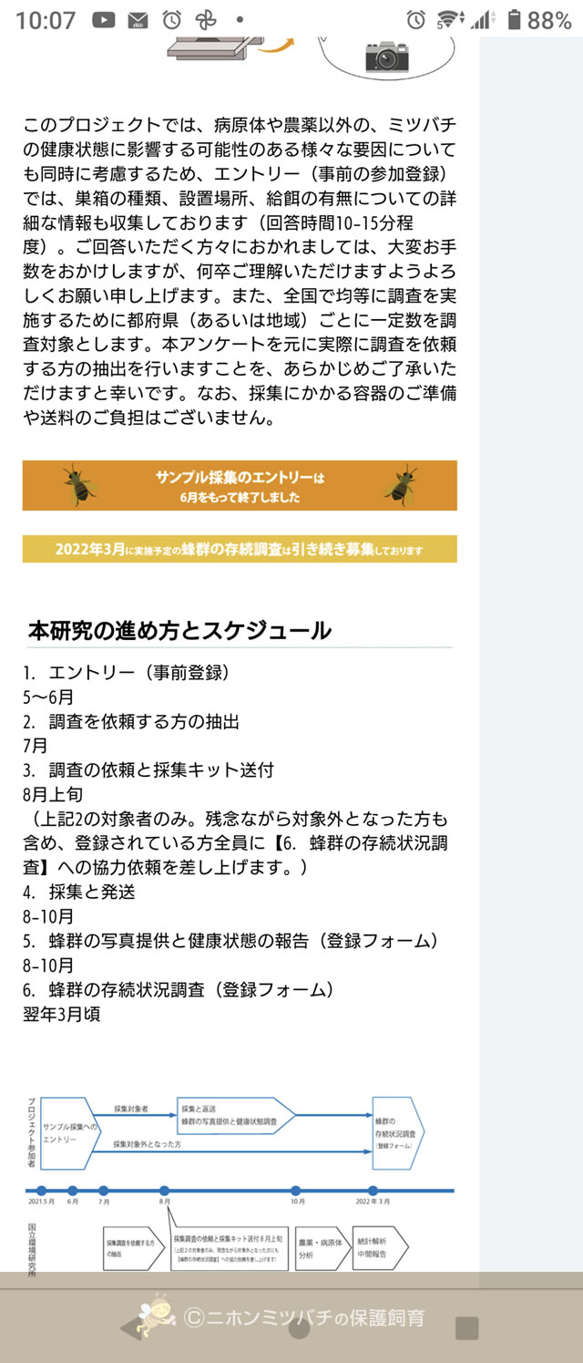 2021.10.05 ニホンミツバチ 036番